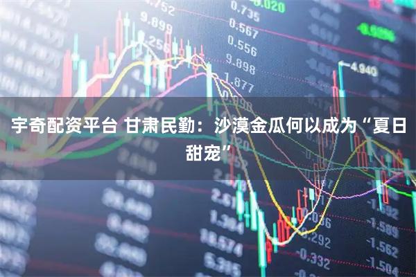 宇奇配资平台 甘肃民勤：沙漠金瓜何以成为“夏日甜宠”